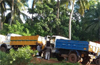 Puttur: Officials slap penalty on overloaded sand lorries